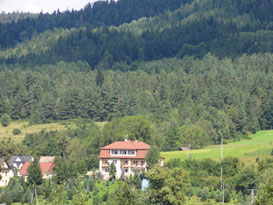 Panaceum