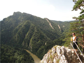 Widok z Pienin