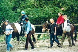Konie Uherce