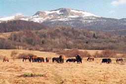 Atrakcje Bieszczady