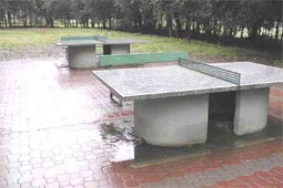 Ping Pong Myczkowce