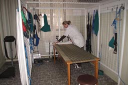 Turnusy rehabilitacyjne w Bieszczadach
